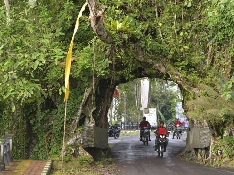 The highland road from Pekutatan