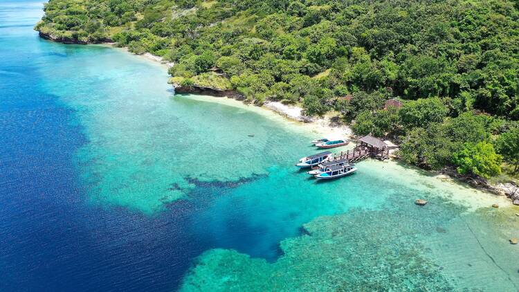 Menjangan Island