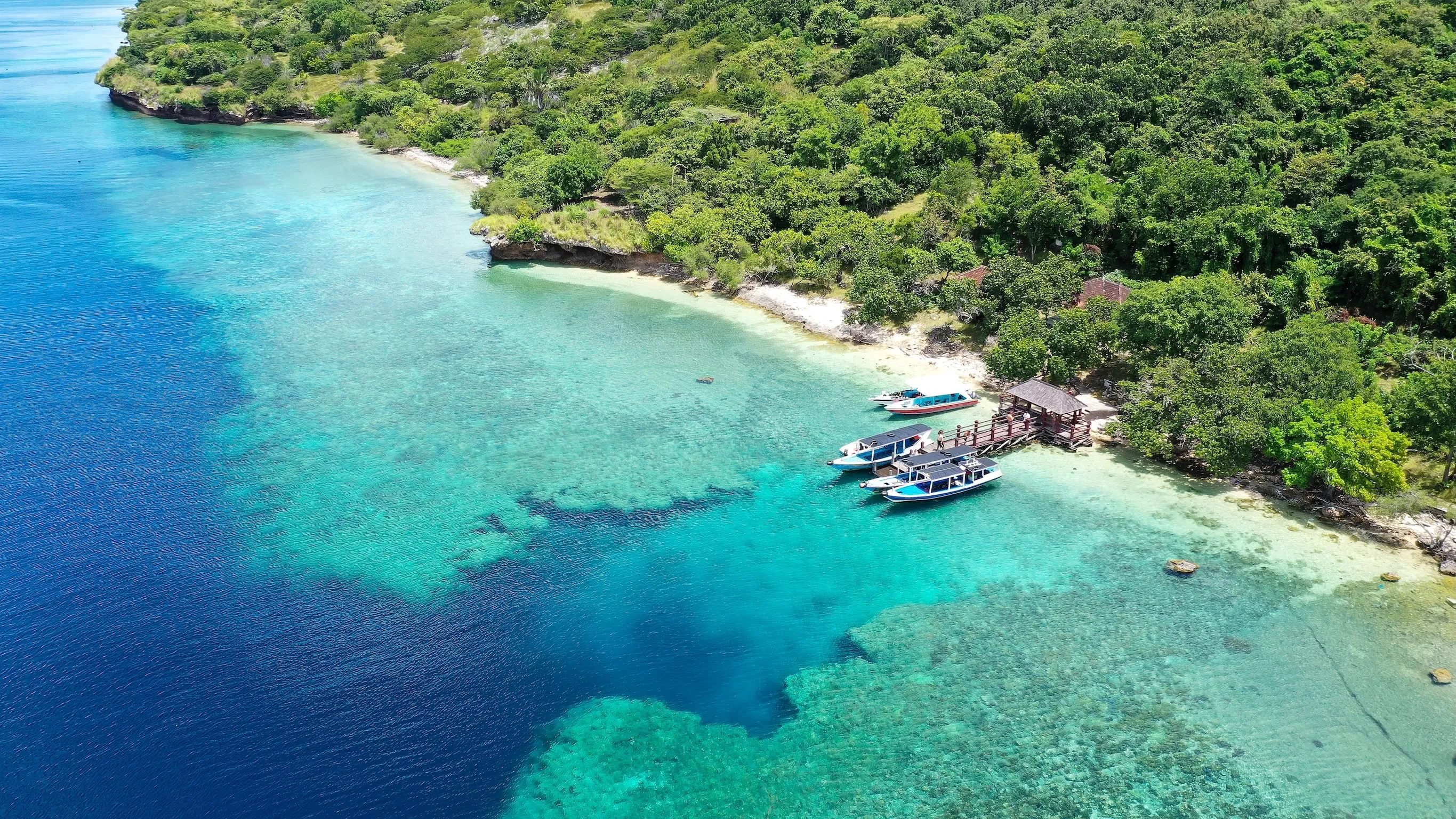 A boat parked next to the shore on Menjangan Island, Bali, Indonesia. Boats parked on a coral reef in the sea. Beautiful and clear water. Some trees on the shore. Holidays paradise.