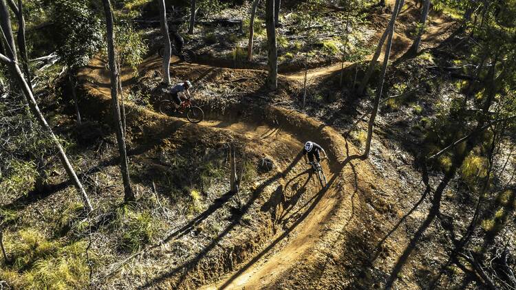 Hit the trails at Hidden Vale Adventure Park