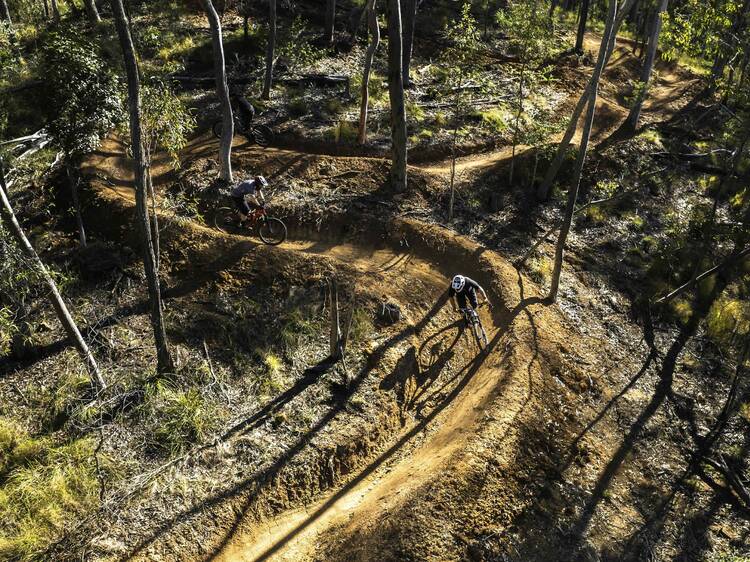 Hit the trails at Hidden Vale Adventure Park