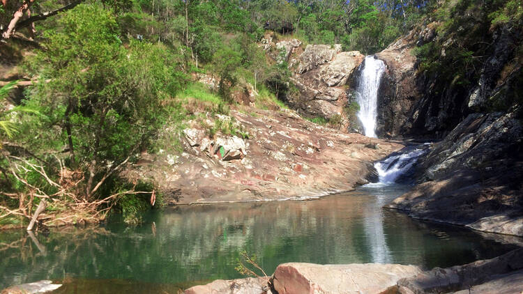 Swim in Cedar Creek Falls