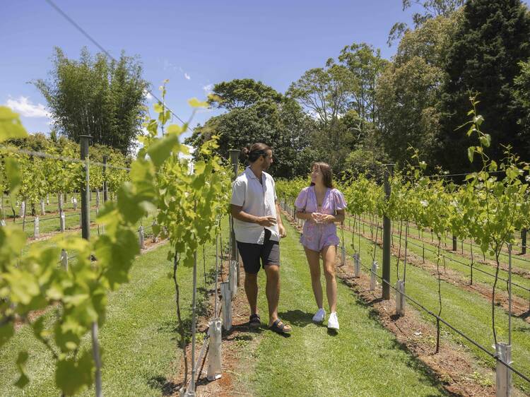 Enjoy a personalised wine tasting at Witches Falls Winery
