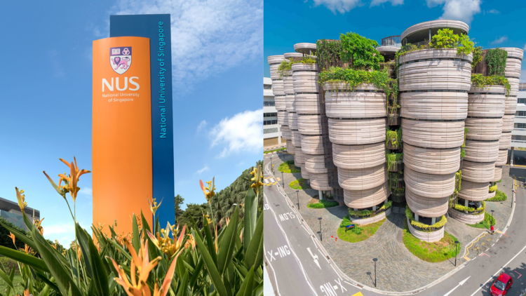 National University of Singapore, Nanyang Technological University