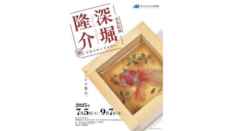 深堀隆介展 水面のゆらぎの中へ