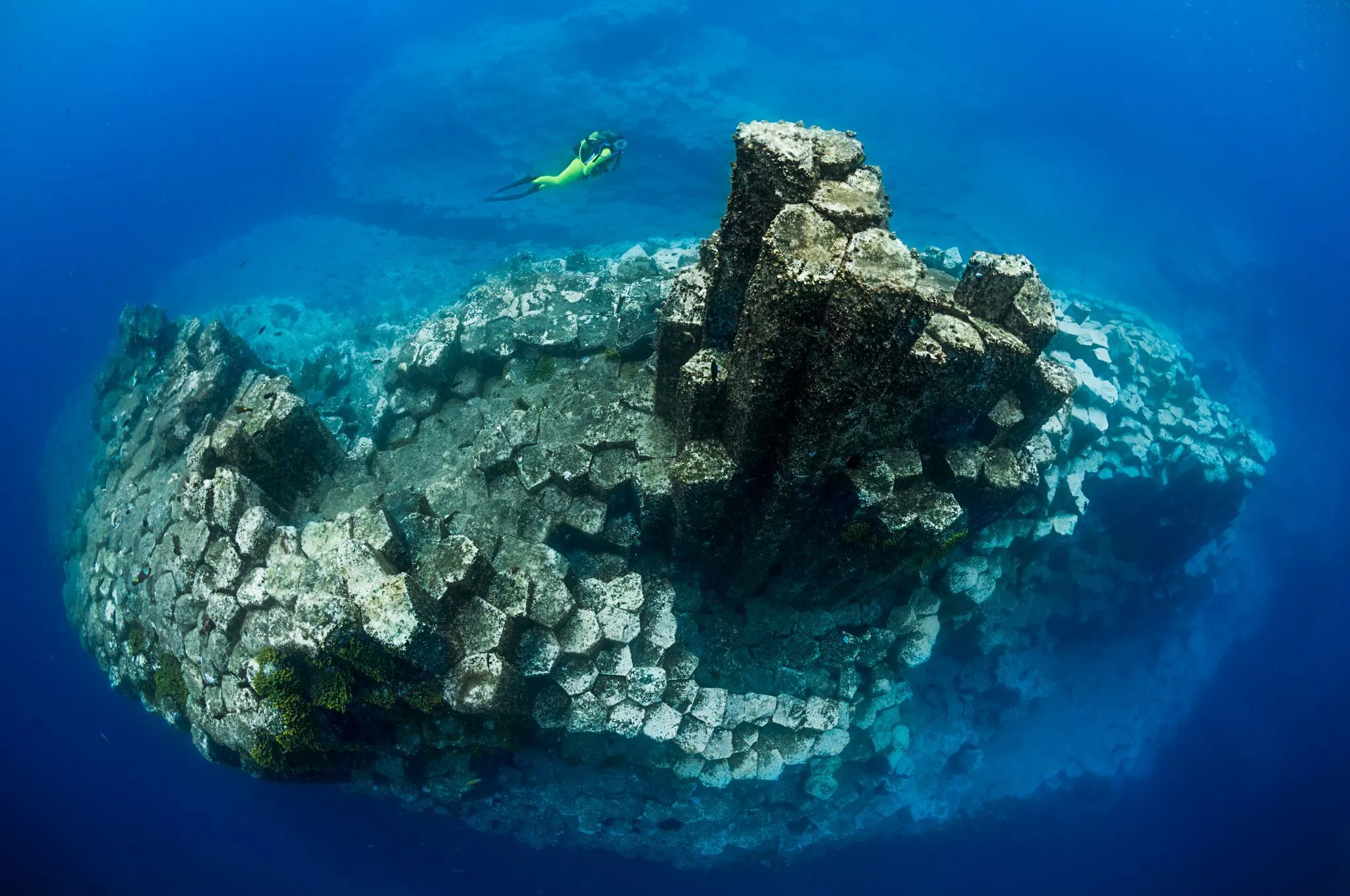Underwater Seascapes — 3rd Place