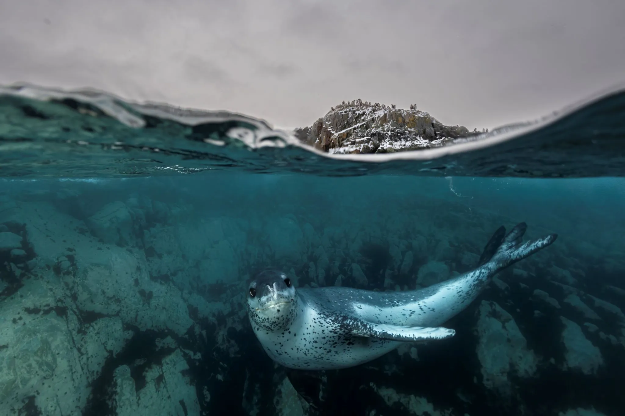 Underwater Seascapes — Honourable Mention