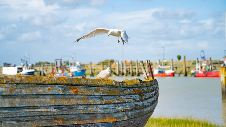 Rye, East Sussex