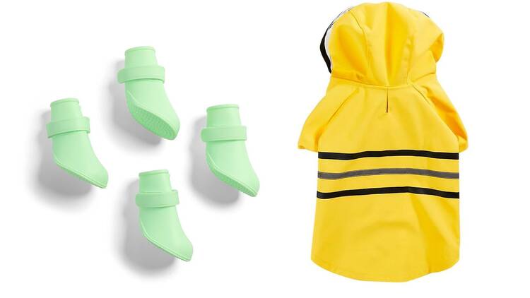 Impermeable y botas caninos