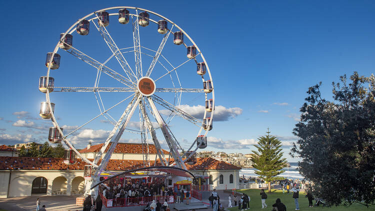 Bondi Festival