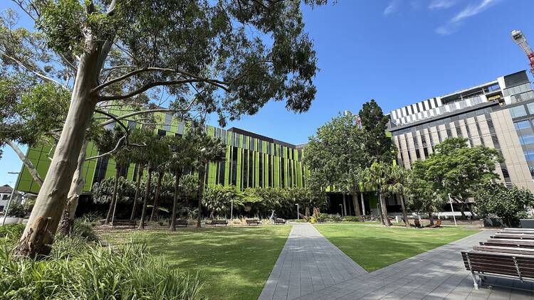 UNSW