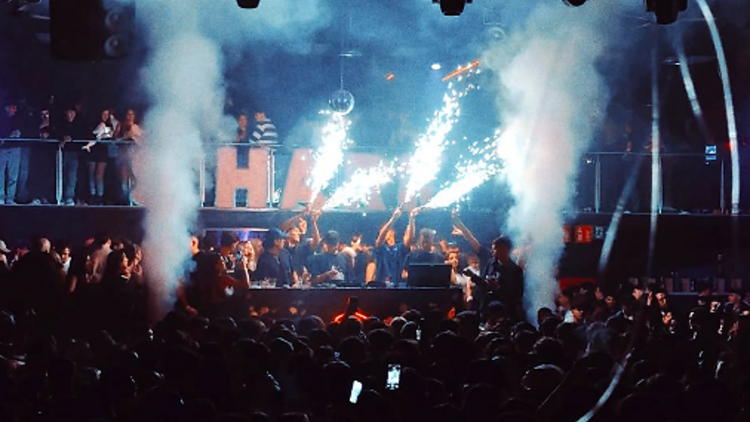 festa, shark events, sant joan