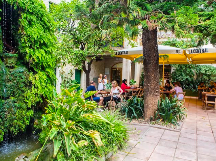 Una de les terrasses més boniques de Barcelona acull un mercat de llibres a preus especials aquest cap de setmana