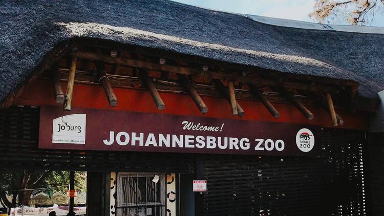 Johannesburg Zoo 