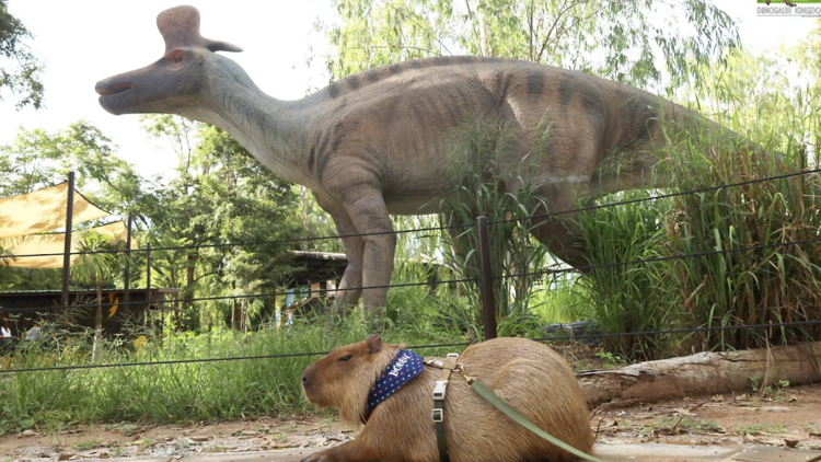 Pattaya Dinosaur Kingdom, Pattaya