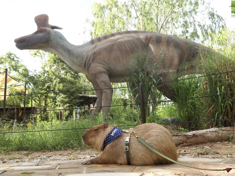 Pattaya Dinosaur Kingdom, Pattaya