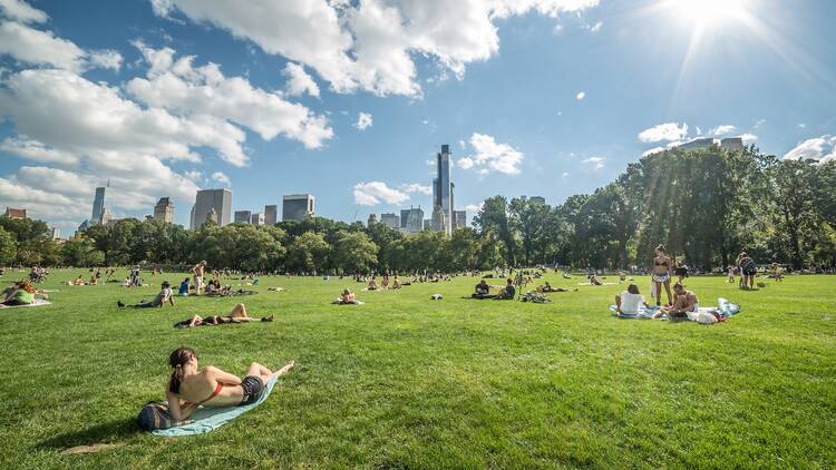 Central Park in summer