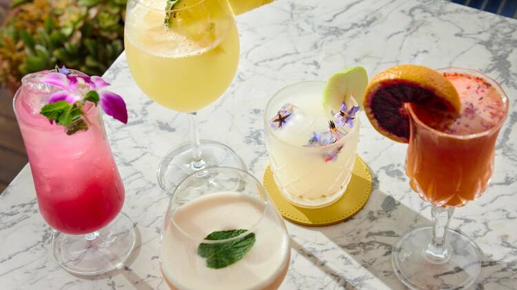 Lemon Grove at the Aster