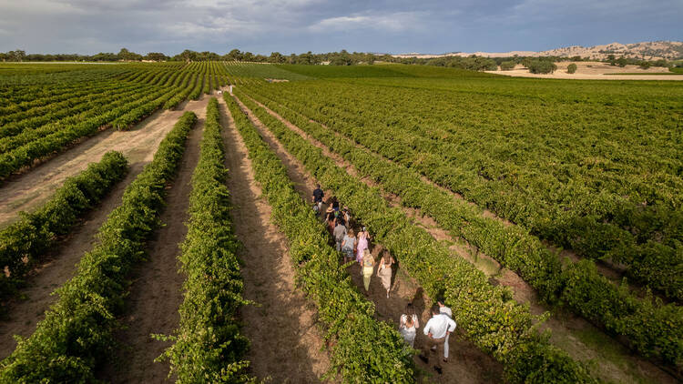 Kies Family Wines