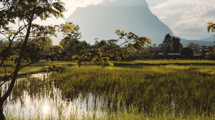 Photograph: Jeen Sindvongs
