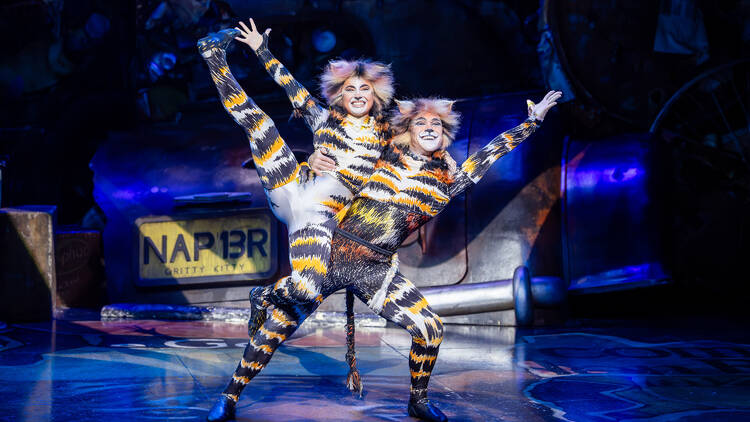 Cats (Sydney, 2025)