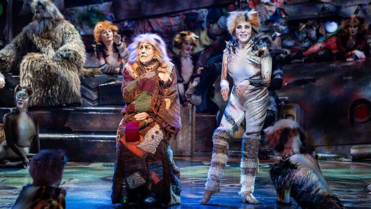 Cats (Sydney, 2025)