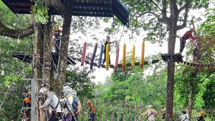 โป่งแยงจังเกิลโคสเตอร์ (Pongyang Jungle Coaster Zipline Camp and Resort)