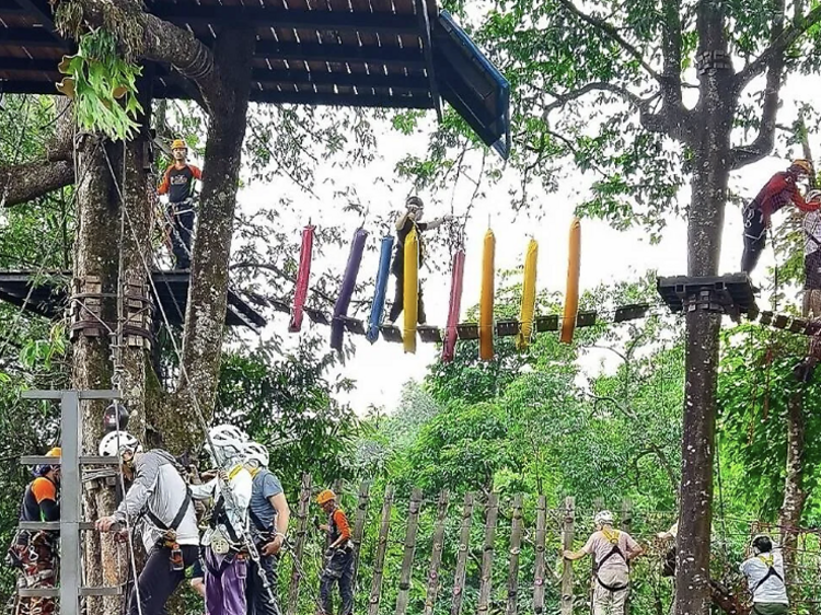 โป่งแยงจังเกิลโคสเตอร์ (Pongyang Jungle Coaster Zipline Camp and Resort)