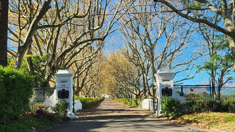 Lanzerac Deli, Stellenbosch