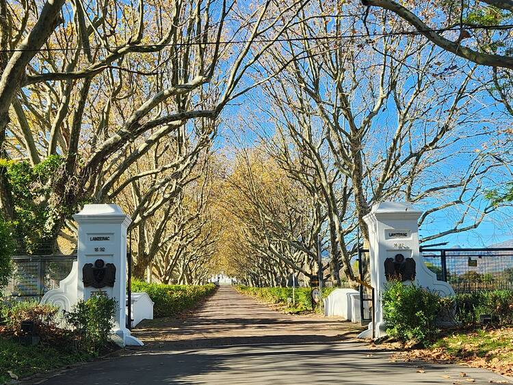 Lanzerac Deli, Stellenbosch