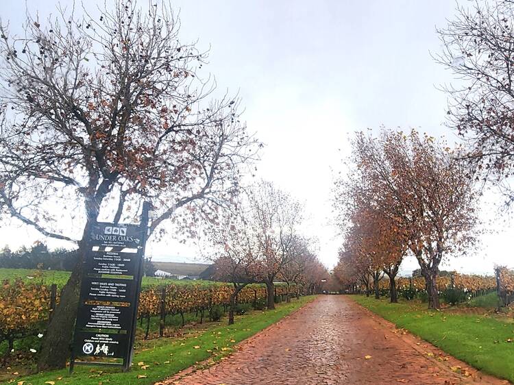 Under Oaks Pizzeria, Paarl