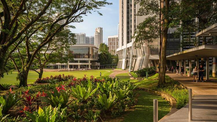 National University of Singapore