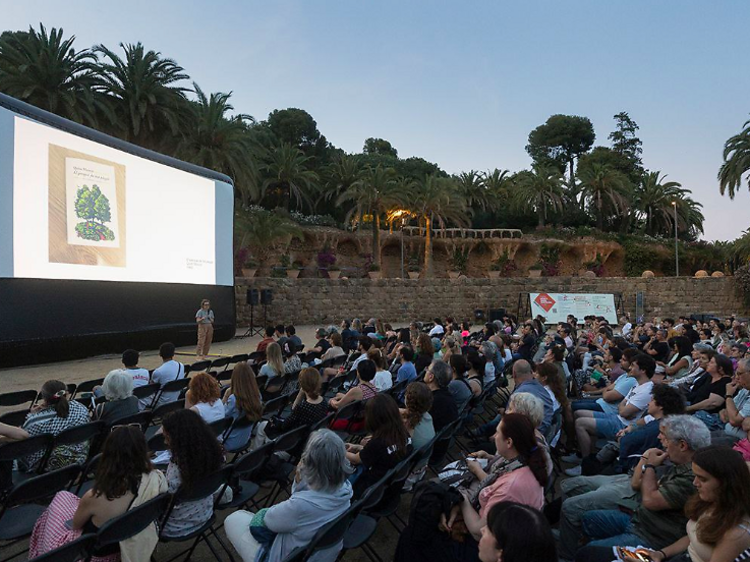 Park Güell, cinema, estiu