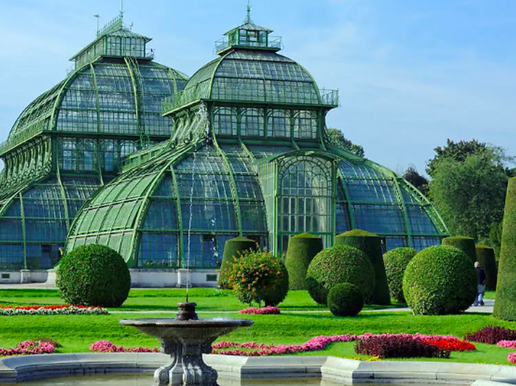 Palmenhaus do Palácio de Schönbrunn, Áustria