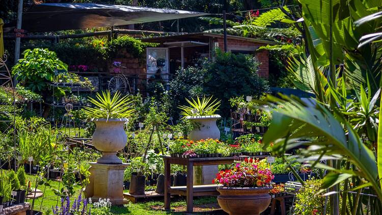 Bloomingdales Garden Centre