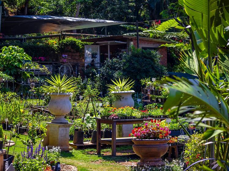 Bloomingdales Garden Centre