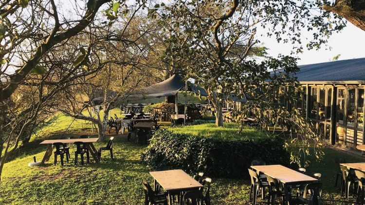 Shongweni Farmers and Craft Market