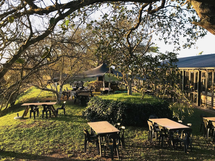 Shongweni Farmers and Craft Market