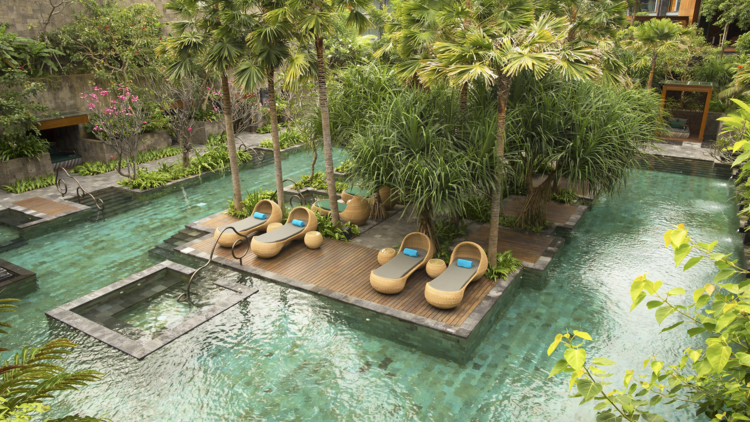 Pool surrounded by lush plants