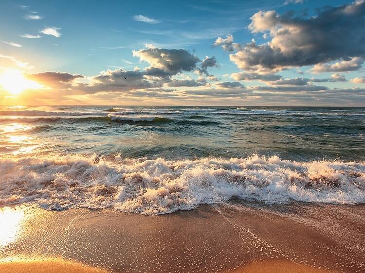 Warner Beach