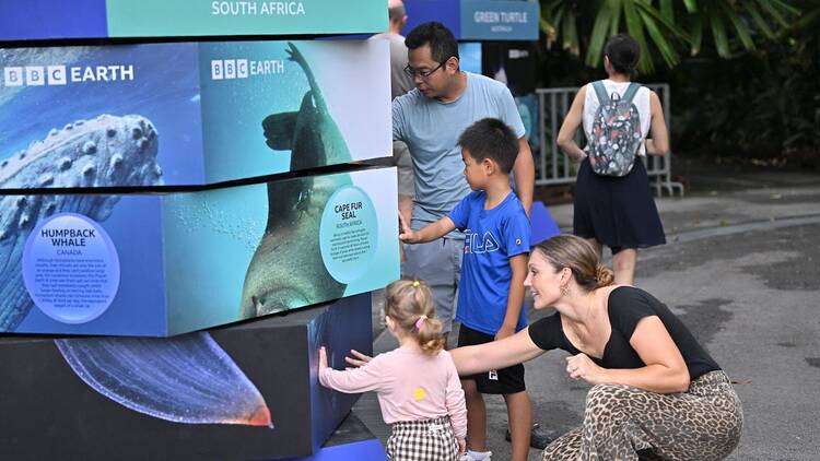 BBC Earth Screening Festival