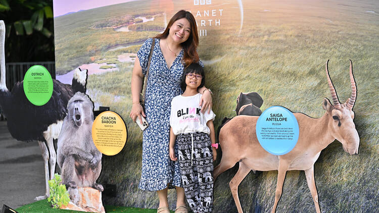 BBC Earth Screening Festival