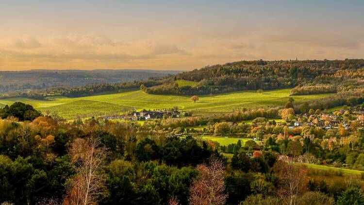 Box Hill (43 mins from London)