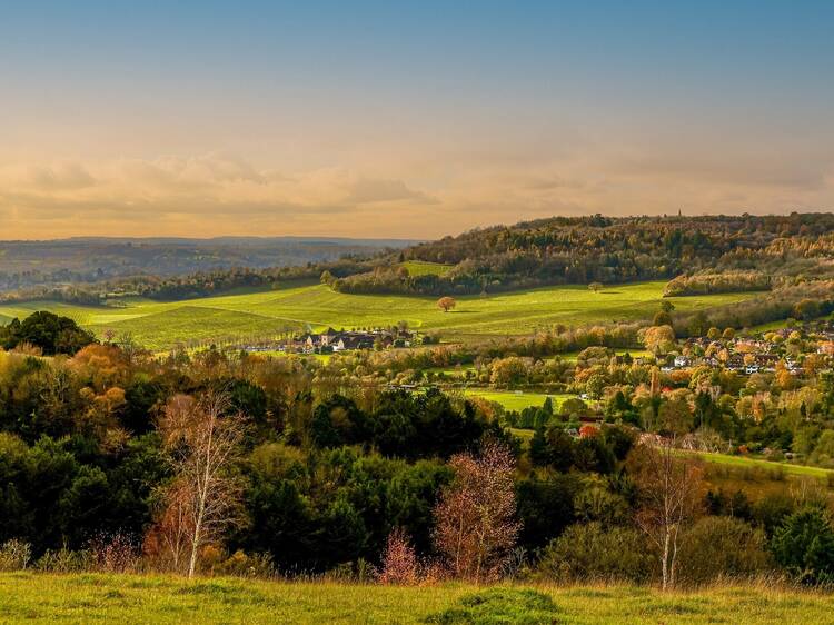 Box Hill (43 mins from London)