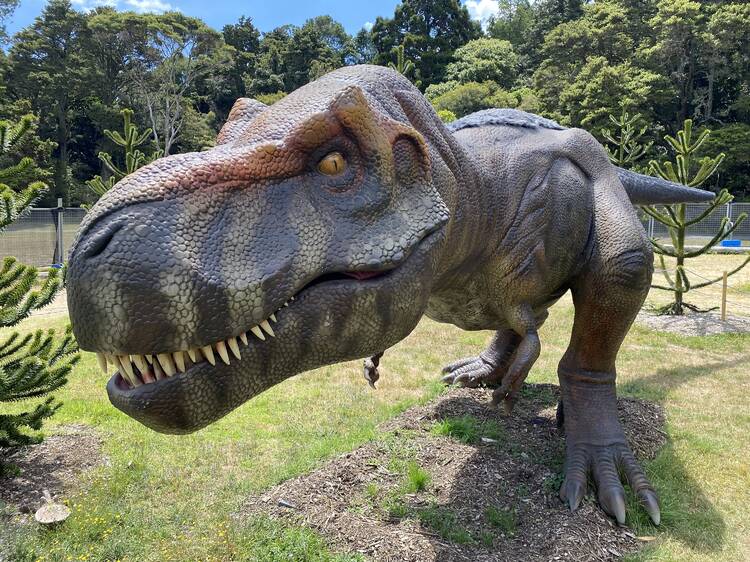 DinoFest