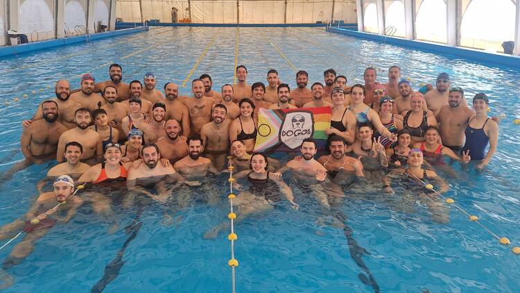Dogos Natación