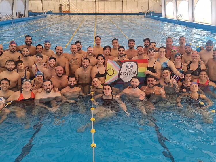 Dogos Natación