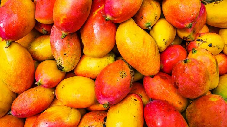 Mangoes Mangoes