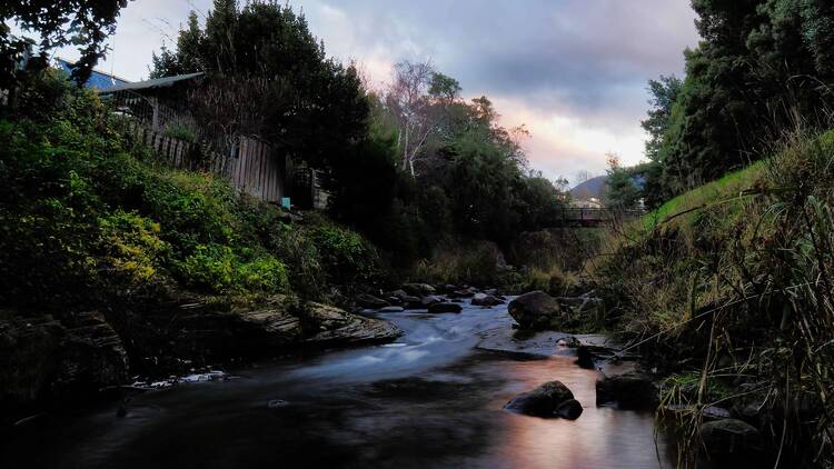Hobart Rivulet Walk