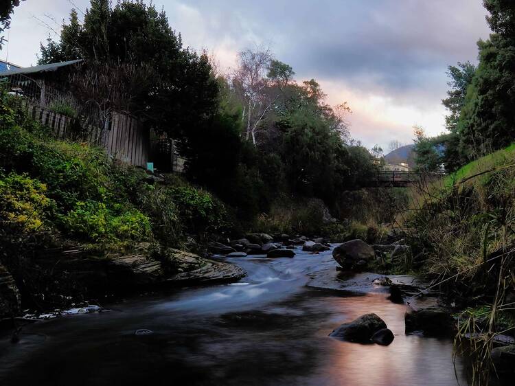 Hobart Rivulet Walk